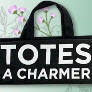 Totes a Charmer bag- 🌟3 for $30 sale